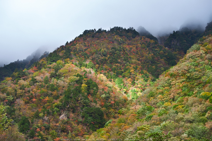 天川,大峰弥山(PK1_2802,70 mm,F5.6)2016yaotomi_.jpg