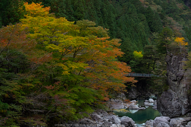 天川,天ノ川渓谷(PK1_2842,70 mm,F6.3)2016yaotomi_.jpg