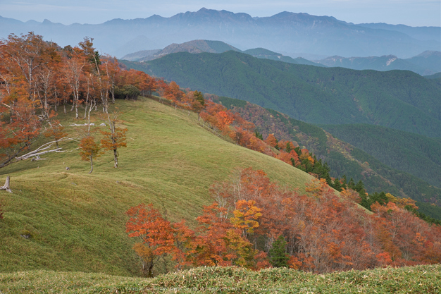 川上村,紅葉(PK1_2382,55 mm,F9)2016yaotomi.jpg