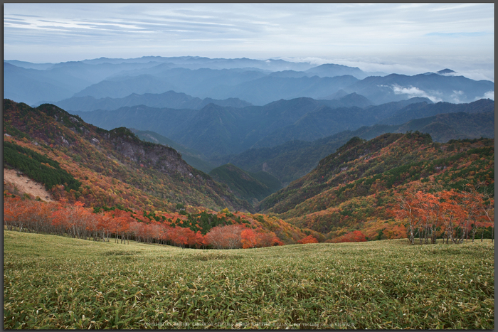 川上村,紅葉(PK1_2408,24-mm,F9)2016yaotomi_T.jpg