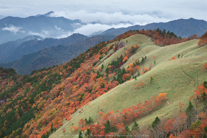 川上村,紅葉(PK1_2419,53 mm,F9)2016yaotomi.jpg