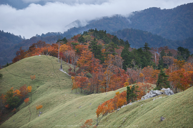 川上村,紅葉(PK1_2439,150 mm,F3.2)2016yaotomi.jpg