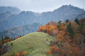 川上村,紅葉(PK1_2455,200 mm,F2.8)2016yaotomi.jpg