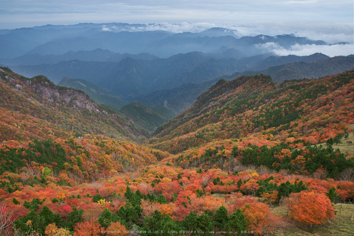 川上村,紅葉(PK1_2494,24 mm,F9)2016yaotomi.jpg