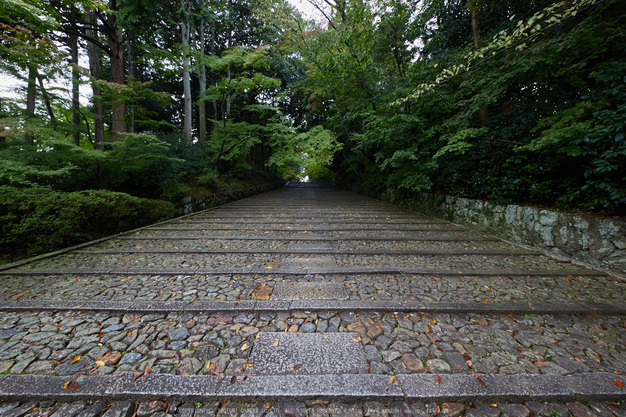 粟生光明寺,紅葉前(2K0A4973,12 mm,F8,iso500)2016yaotomi.jpg