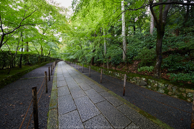 粟生光明寺,紅葉前(2K0A4986,12 mm,F5.6,iso800)2016yaotomi.jpg