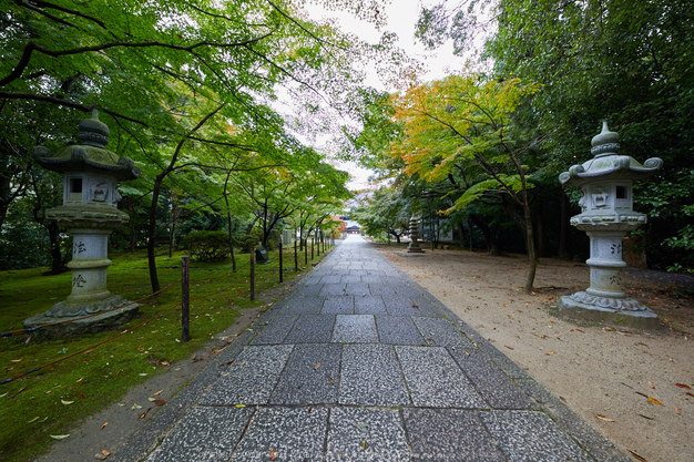 粟生光明寺,紅葉前(2K0A4996,12 mm,F7.1,iso400)2016yaotomi.jpg