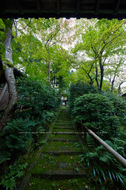 粟生光明寺,紅葉前(2K0A5045FL,12 mm,F6.3,iso250)2016yaotomi.jpg