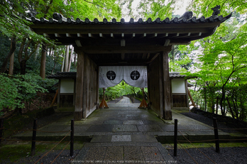 粟生光明寺,紅葉前(2K0A5143,12 mm,F9,iso1000)2016yaotomi.jpg