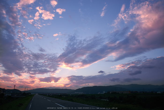 藤原宮跡,コスモス(PK1_1516,24 mm,F8,iso100)2016yaotomi_.jpg