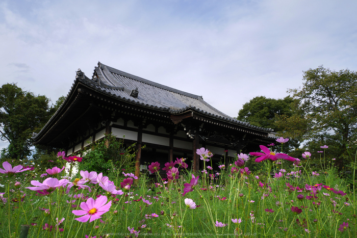 Panasonic,Lumix,G8_P1010172(RAW),F10,12 mm,2016yaotomi.jpg