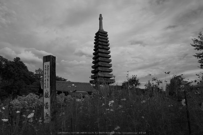 Panasonic,Lumix,G8_P1010228(RAW),F8,12 mm,2016yaotomi.jpg