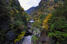 奈良天川,みたらい紅葉(SDQ_3176b,8 mm,F8)2016yaotomi.jpg