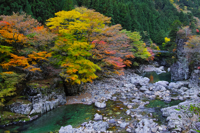 奈良天川,みたらい紅葉(SDQ_3183b,21 mm,F8)2016yaotomi.jpg