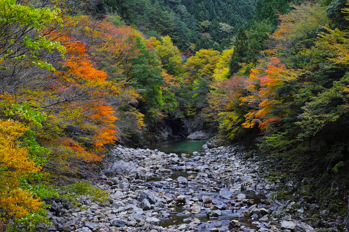 奈良天川,みたらい紅葉(SDQ_3192b,35 mm,F8)2016yaotomi.jpg