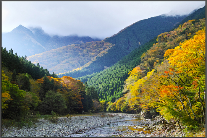 奈良天川,みたらい紅葉(SDQ_3217b,25-mm,F8)2016yaotomi_T.jpg