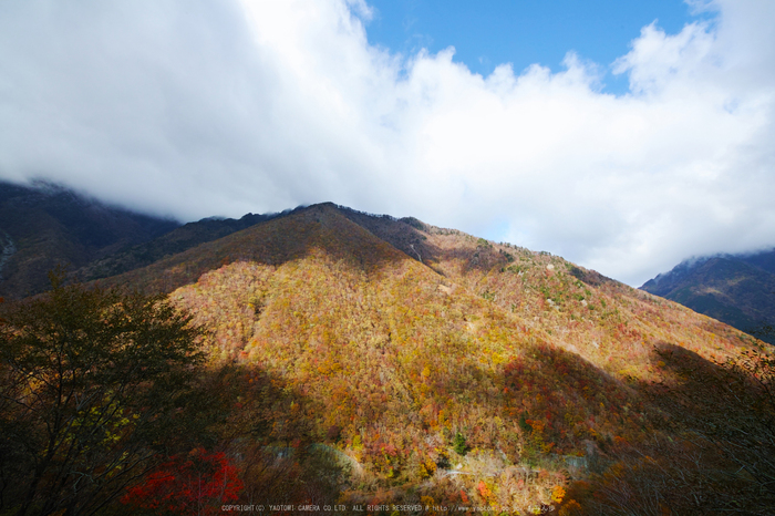 奈良天川,みたらい紅葉(SDQ_3300,8-mm,F8)2016yaotomi_p.jpg