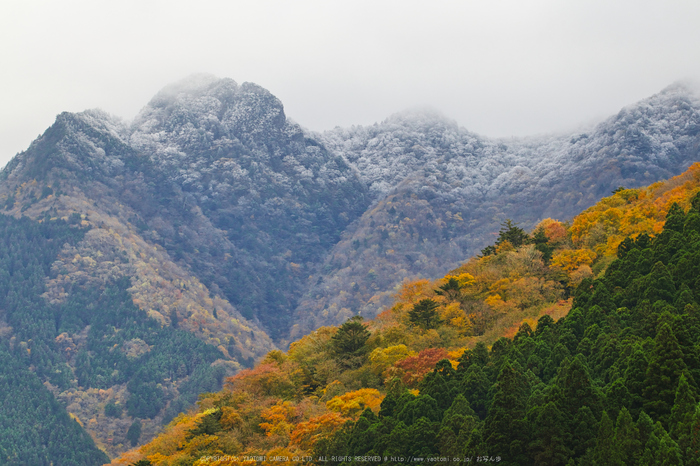 奈良天川,みたらい紅葉(SDQ_3461c,100 mm,F5)2016yaotomi.jpg