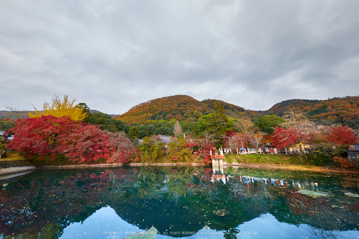 出雲大神宮,紅葉_IMG_9330,2016yaotomi_ 1.jpg