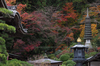 岡寺(PB230015,47 mm,F6.3,iso200)2016yaotomi.jpg