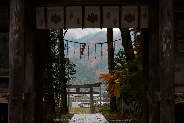 摩氣神社,紅葉_IMG_8694,2016yaotomi_.jpg