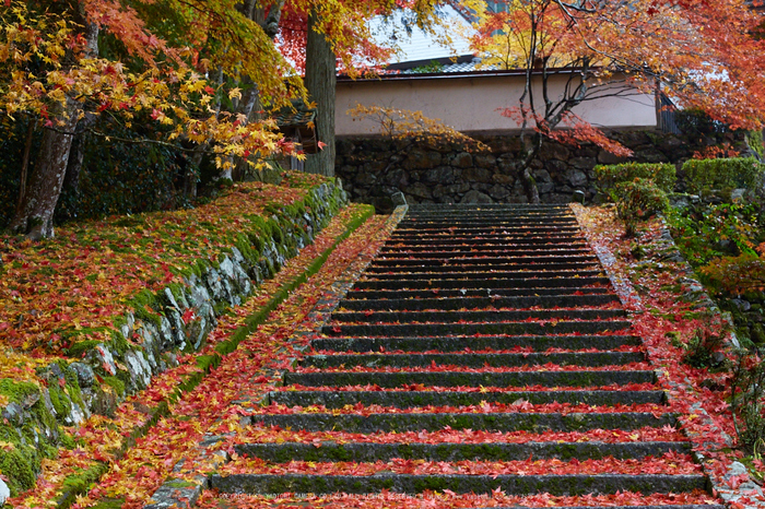 玉雲寺,紅葉_IMG_8784,2016yaotomi_.jpg