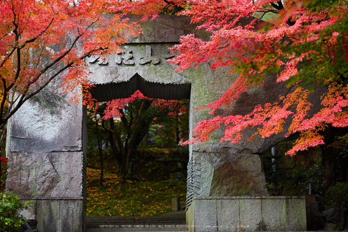 苗秀寺,紅葉_IMG_9074,2016yaotomi_.jpg