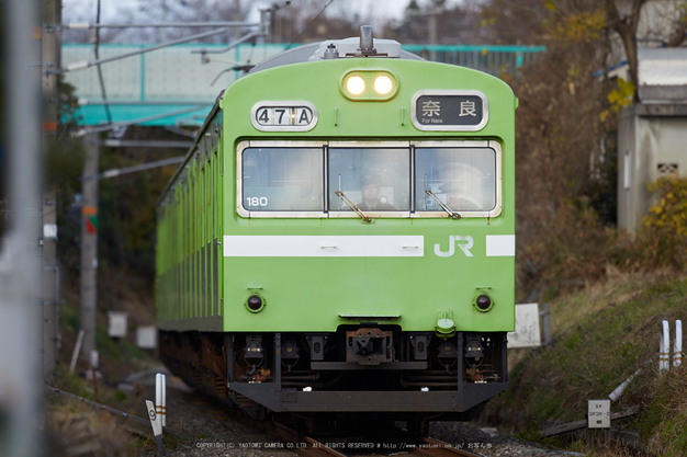 シグマ SIGMA 500mm F4 DG OS HSM|Sports / 奈良 若草山の鹿 シグマ SIGMA 500mm F4 DG OS HSM|Sports / 奈良 若草山の鹿