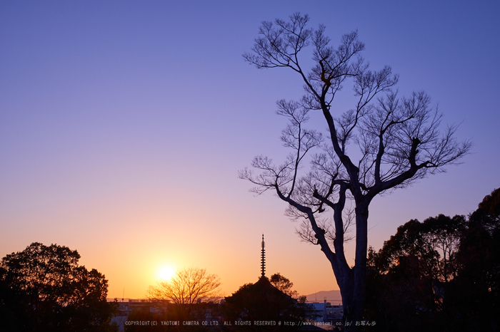 室生寺雪景,DSC_0048,2017yaotomi.jpg