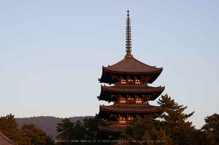 室生寺雪景,DSC_0052,2017yaotomi.jpg