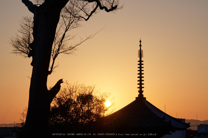 室生寺雪景,DSC_0064,2017yaotomi.jpg