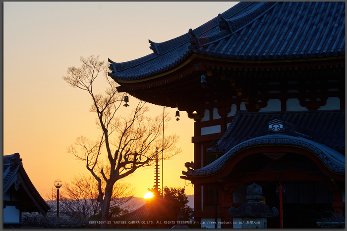 室生寺雪景,DSC_0088,2017yaotomi_T.jpg