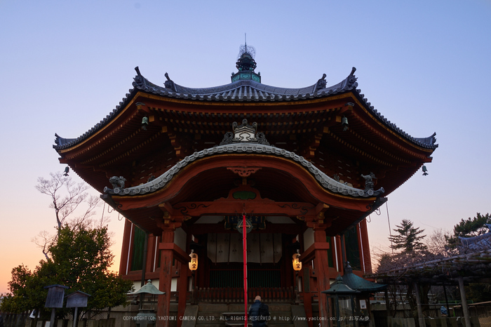 室生寺雪景,DSC_0101,2017yaotomi.jpg