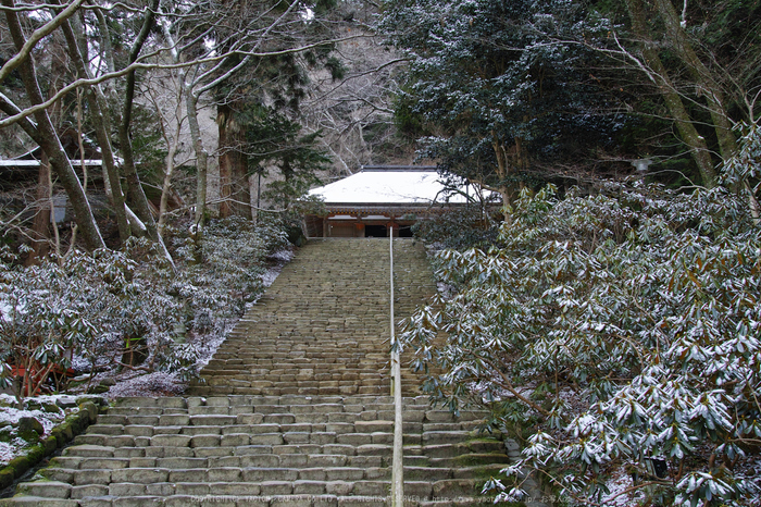 室生寺雪景,SDQH0974,2017yaotomi.jpg