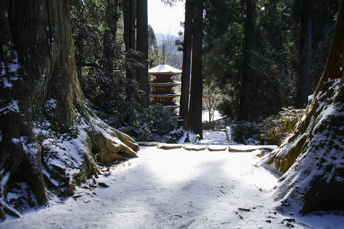 室生寺雪景,SDQH1038,2017yaotomi 1.jpg