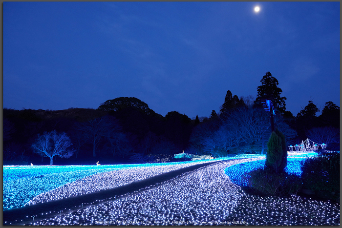 お写ん歩: Nikon D500アーカイブ お写ん歩: Nikon D500アーカイブ