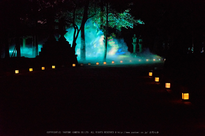 お写ん歩: Nikon D500アーカイブ お写ん歩: Nikon D500アーカイブ
