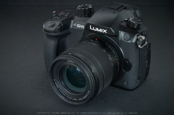 Panasonic LUMIX 12-60mm / F3.5-5.6
