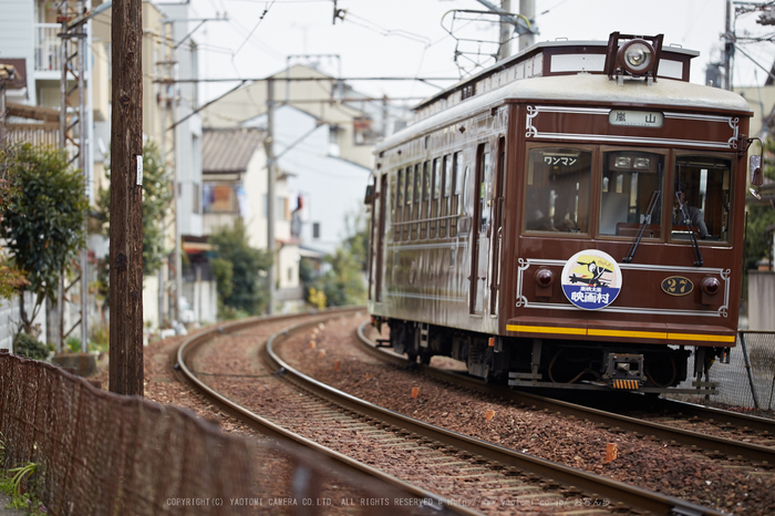 【みかん】SIGMA 135mm F1.8 DG HSM Sigma 135mm f/1.8 DG HSM Art Lens for Canon EF (240954) : SIGMA