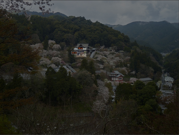 初瀬長谷寺,桜_CF015053,2017yaotomi_s.jpg