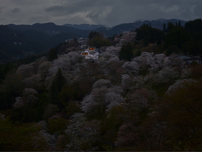 吉野山,桜_CF014968,2017yaotomi_s.jpg