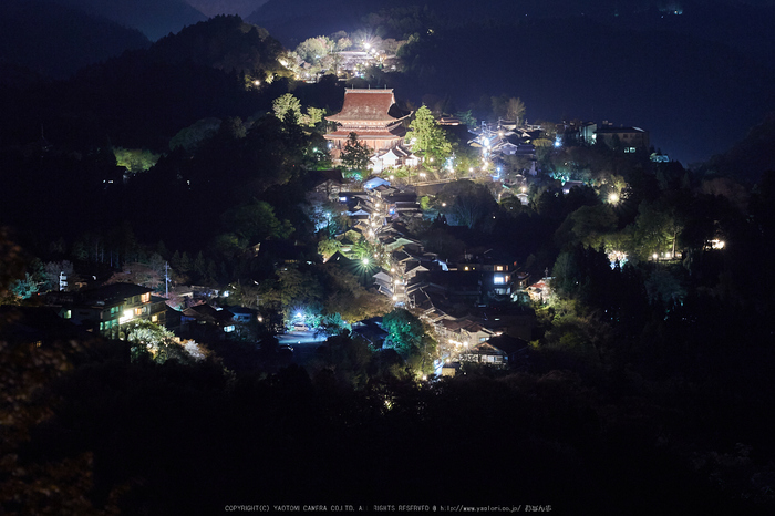 吉野山,桜_IMG_8692,2017yaotomi.jpg