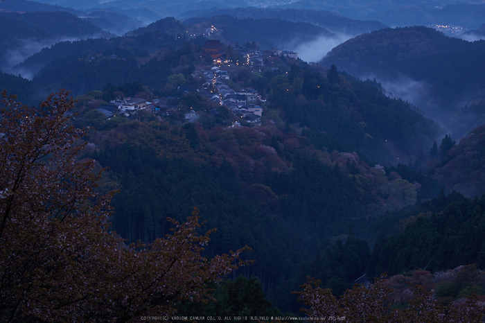 吉野山,桜_IMG_8710,2017yaotomi.jpg