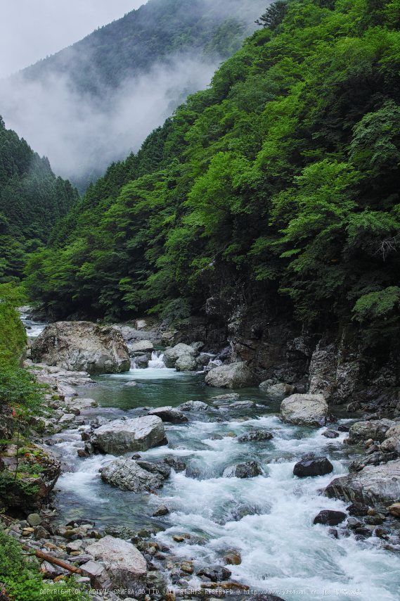 sd,Quattro(SDQ_0206,30 mm,F8,iso100)2016yaotomi.jpg