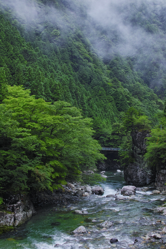 sd,Quattro(SDQ_0242,30 mm,F7.1,iso100)2016yaotomi.jpg