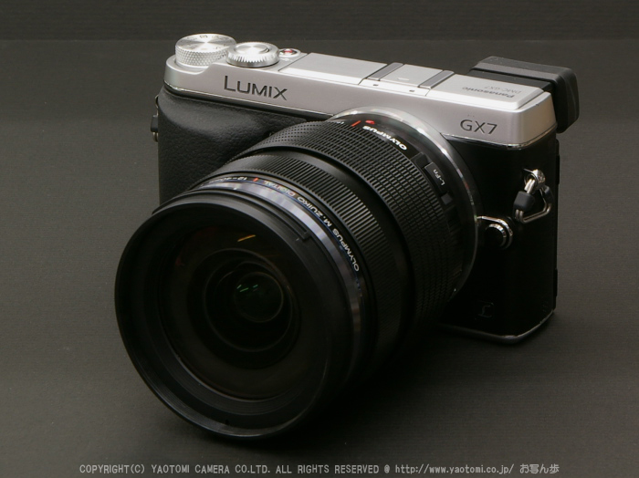 Panasonic LUMIX DMC-GX7 review （β機・その２） ／ 伊吹山 初秋 2013 