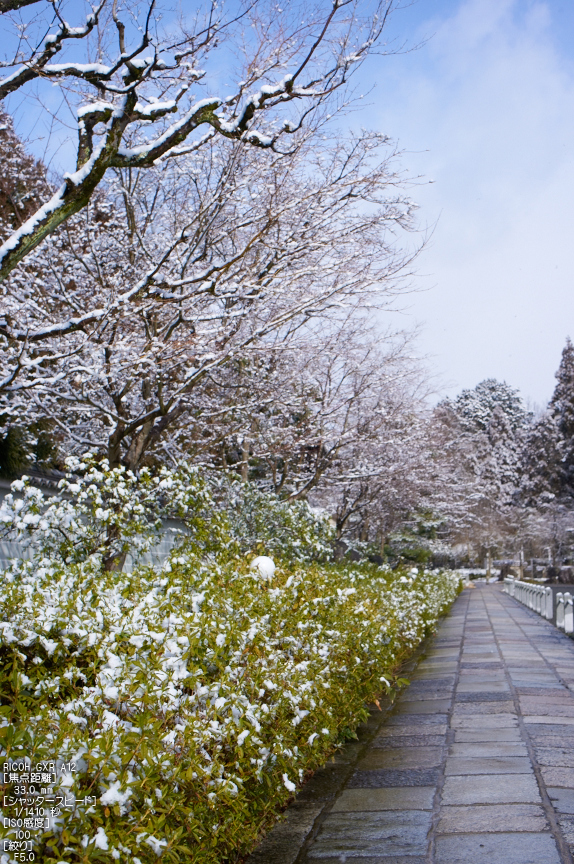 RICOH GXR / 妙満寺 雪景 - お写ん歩 RICOH GXR / 妙満寺 雪景 - お写ん歩