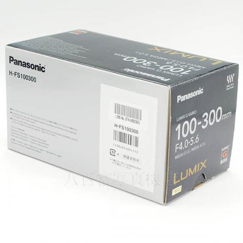 中古レンズ パナソニック LUMIX G VARIO 100-300mm F4.0-5.6 MEGA O.I.S. Panasonic 16532