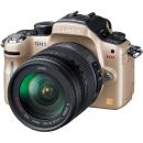 パナソニック LUMIX GH1 HD高倍率ズームレンズ(10倍)キット DMC-GH1K コンフォートゴールド