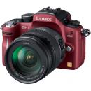 パナソニック LUMIX GH1 HD高倍率ズームレンズ(10倍)キット DMC-GH1K コンフォートレッド